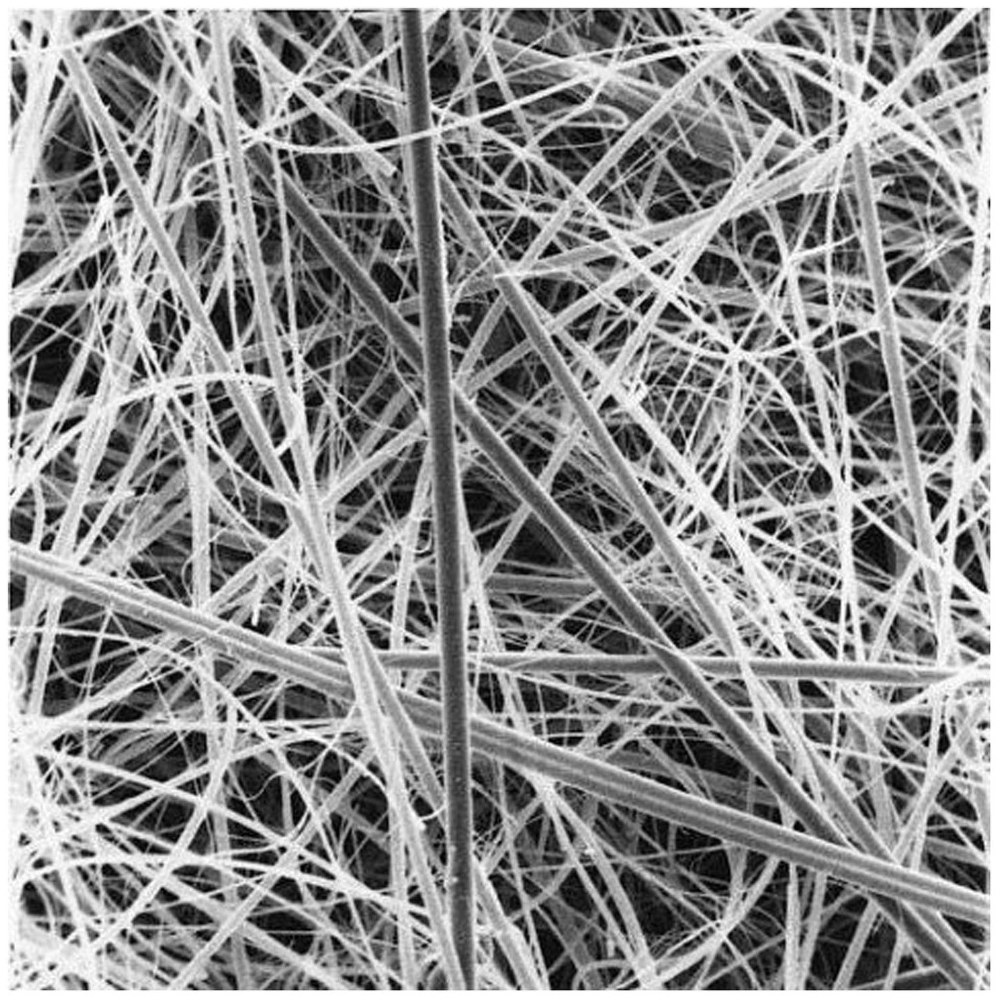 A/D Glass Fiber Filter, 8" x 10", 25/pk