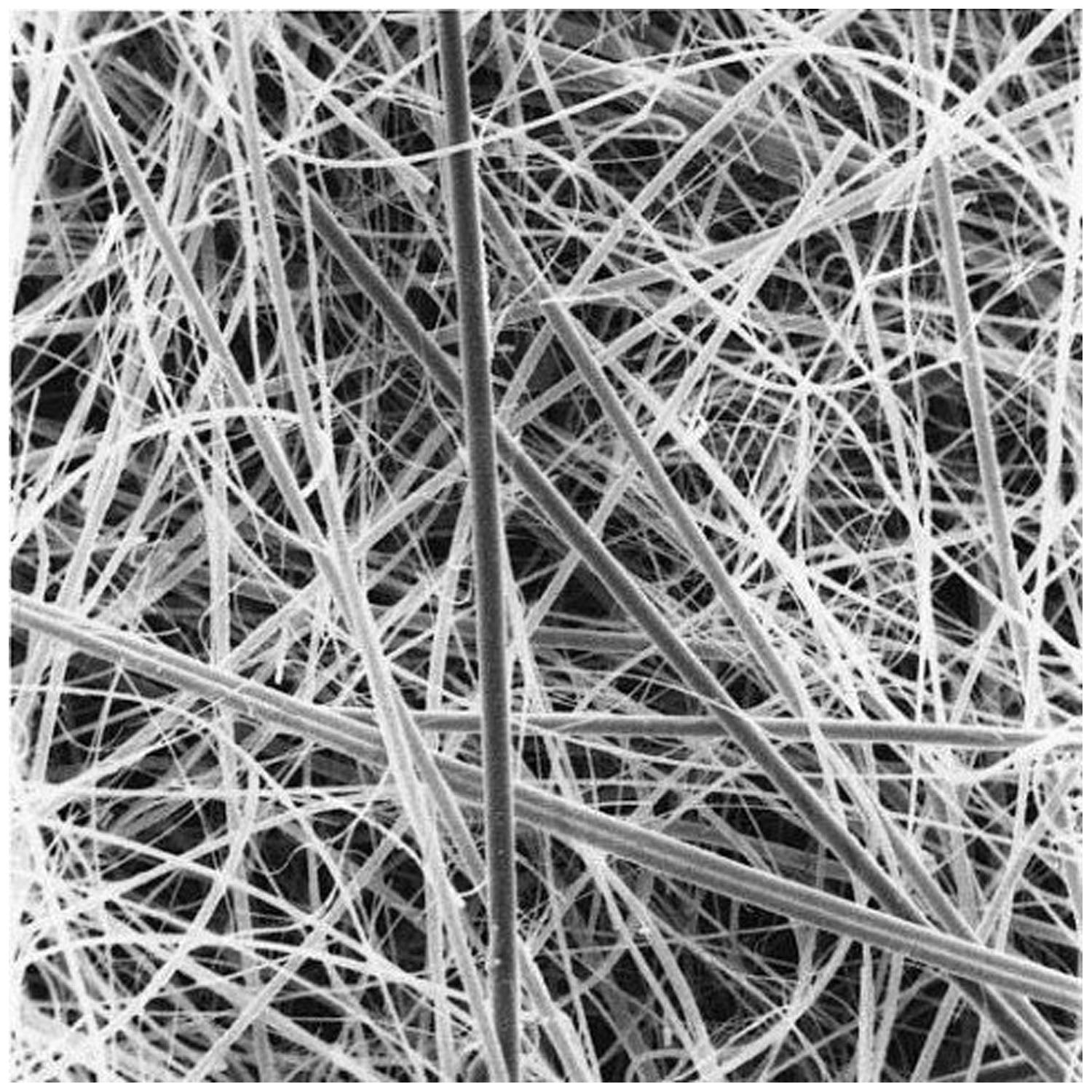 A/D Glass Fiber Filter, 8" x 10", 25/pk