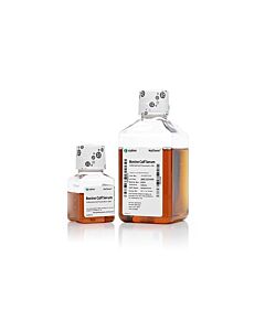 HyClone Bovine Calf Serum, 1000 mL, Heat Inactivated (Ships on Dry Ice) (Item is Non-Returnable) (DROP SHIP ONLY)