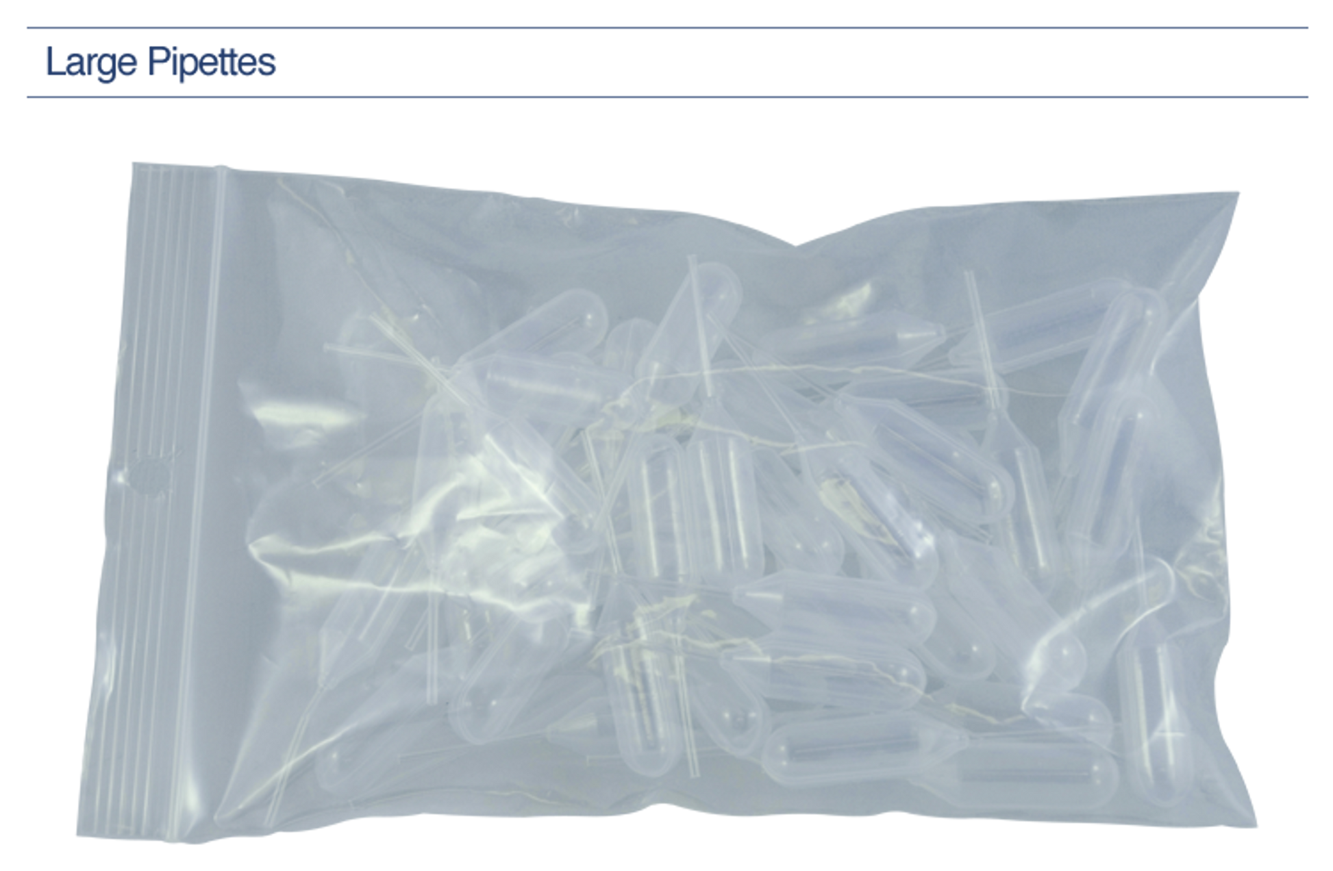 Accessories: Halogen Bulb, 12V/ 20W, Vertical Filament, For SQ2800 Only (US Only) (DROP SHIP ONLY)