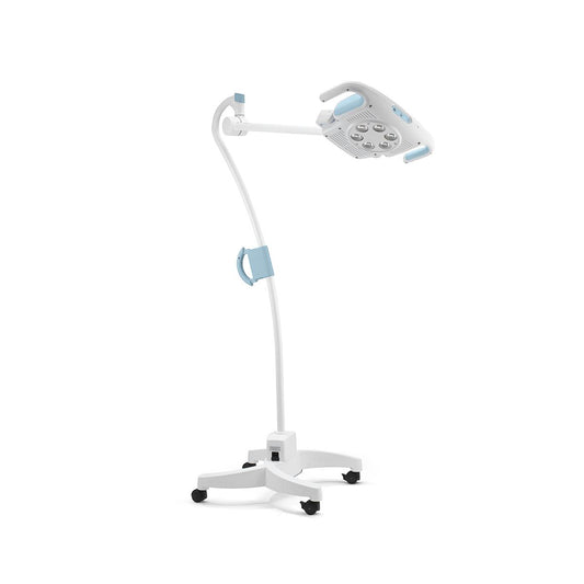 Accessories: Power Cord, IEC Device Connector Type C13, IEC Plug Type B, 8 ft (US Only)