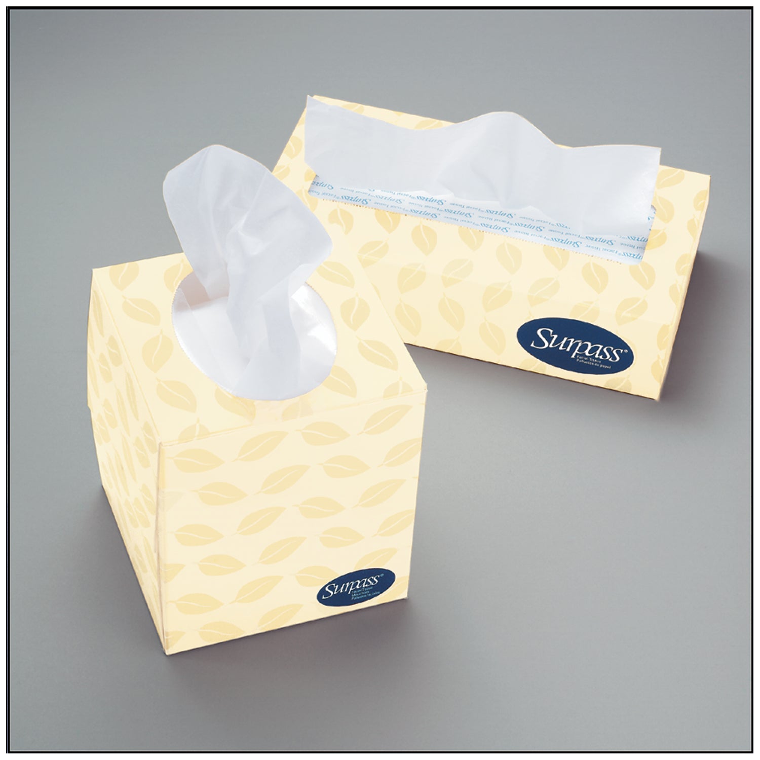 Surpass Facial Tissue, 2-Ply, Flat Dispenser Box, 8" x 8.3", 100 sheets/bx, 30 bx/cs (48 cs/plt) (Products cannot be sold on Amazon.com or any other 3rd party site) (Item is on Manufacturer Backorder - Limited Quantities when Available) (US Only)