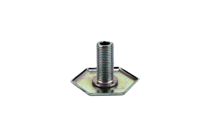 Leveling Screw (US Only) (DROP SHIP ONLY) (Delivery Info Sheet Required)