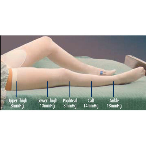 Thigh Length Anti-Embolism Stocking, XX-Large, Long Length, Latex Free (LF), 6 pr/ctn (Continental US Only)
