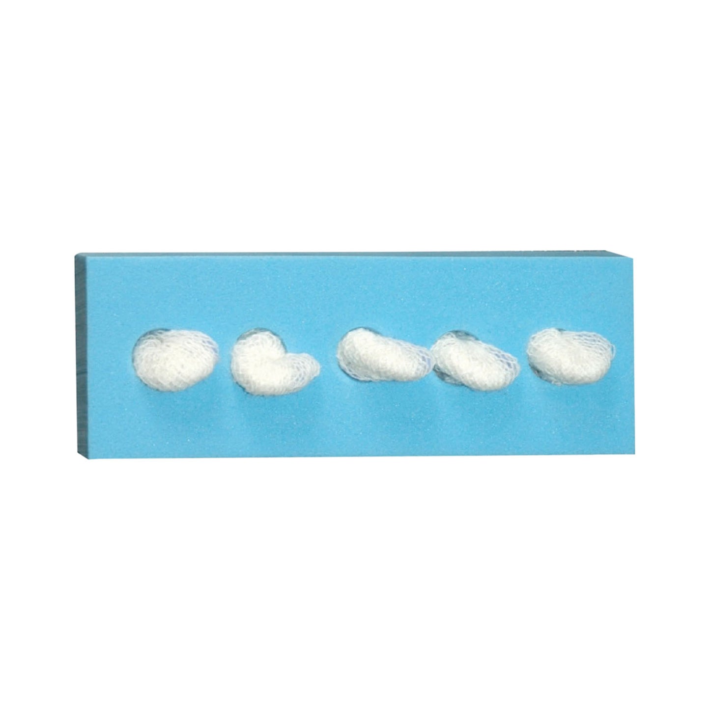 Cherry Sponge, _", C-5 Holder, Sterile, 5/bg, 100 bg/cs