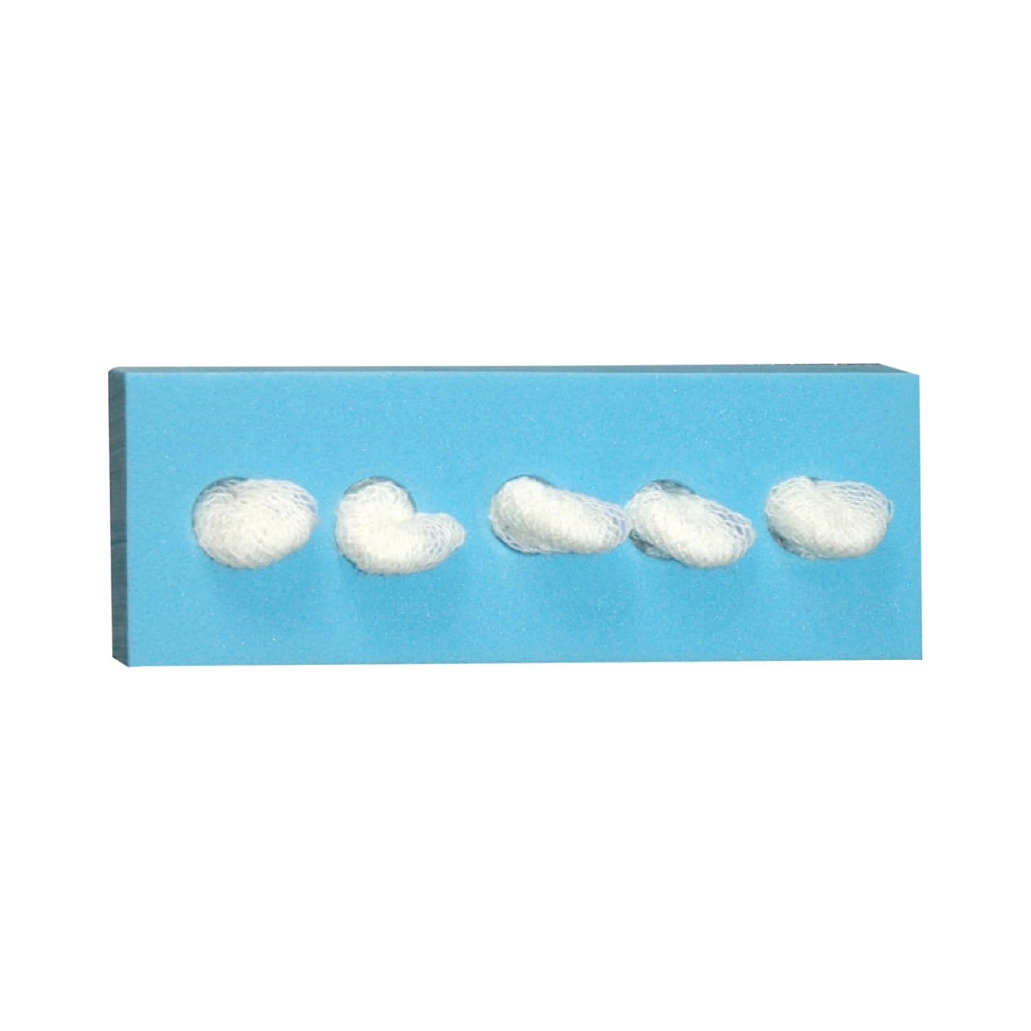 Cherry Sponge, _", C-5 Holder, Sterile, 5/bg, 100 bg/cs