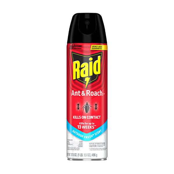 Raid Ant & Roach, Outdoor Fresh, 17.5oz, 12/cs