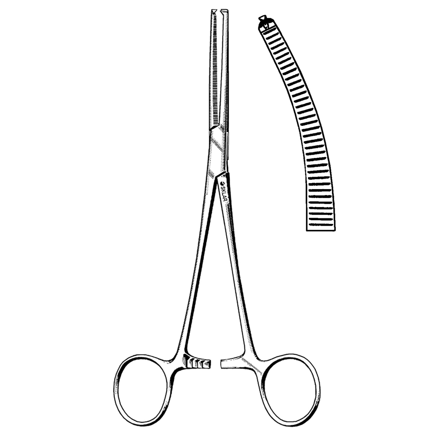 Rochester-Ochsner Forcep, Curved, 8" (DROP SHIP ONLY)