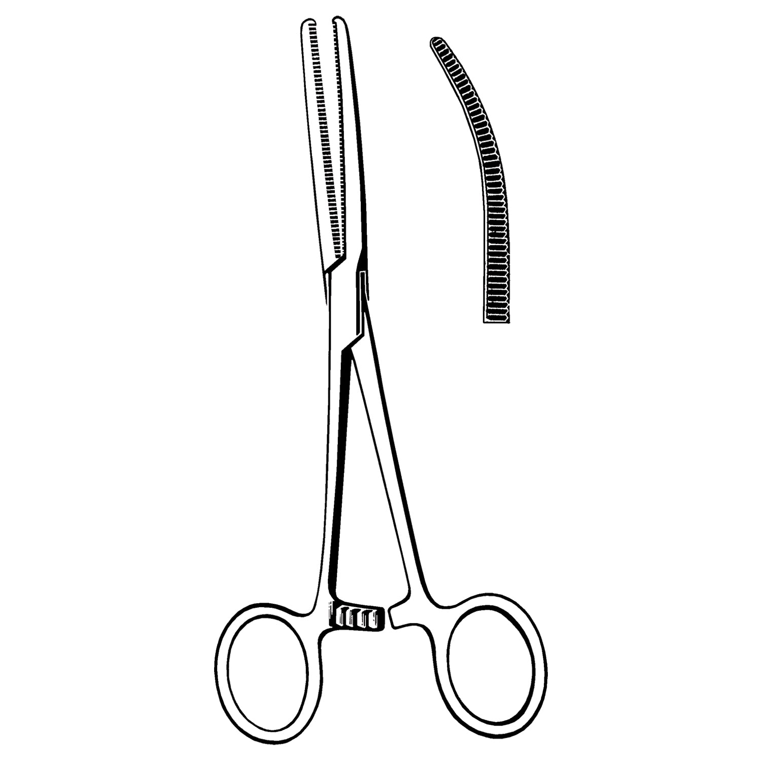 Rochester-Pean Forceps, Curved, 9" (DROP SHIP ONLY)
