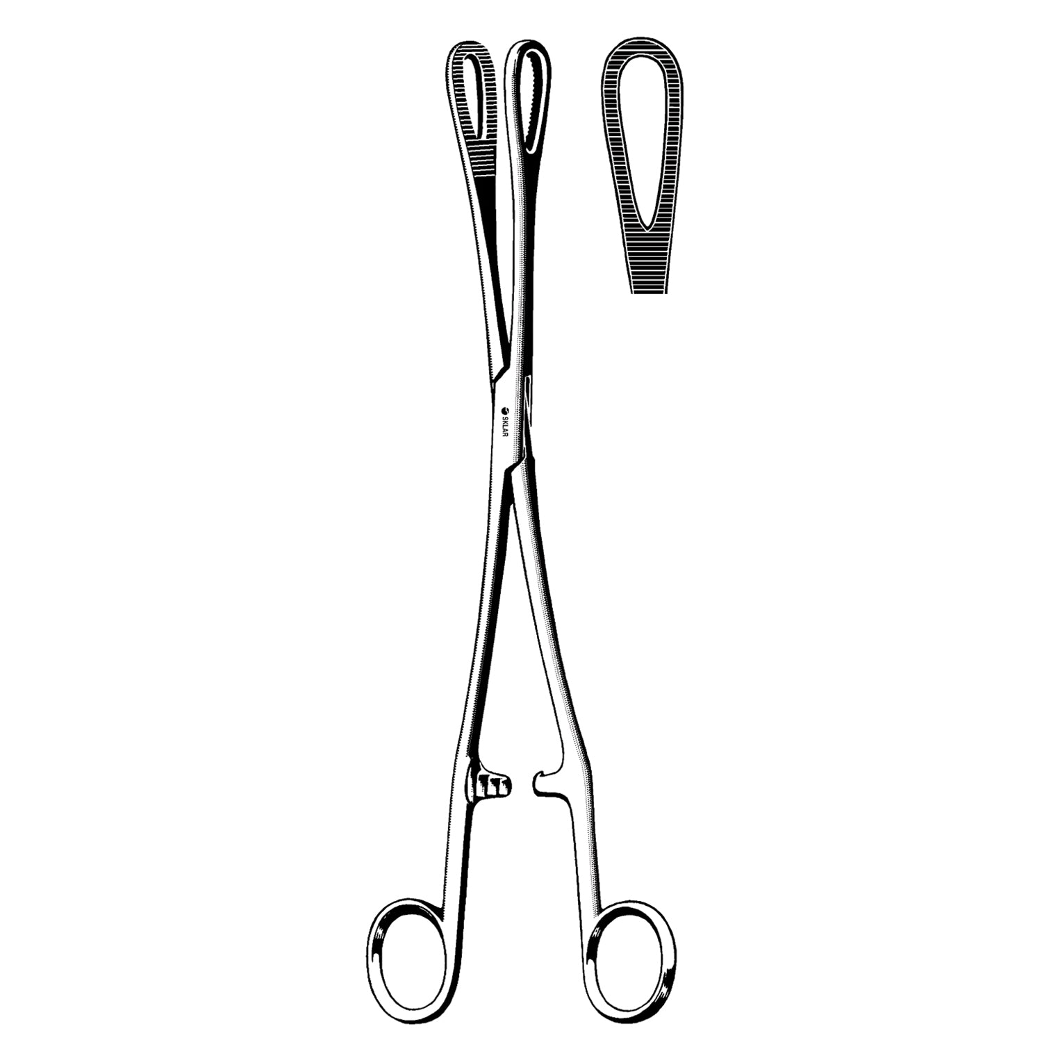 Rampley Sponge Forceps, Straight, Serrated, 9.75" (DROP SHIP ONLY)