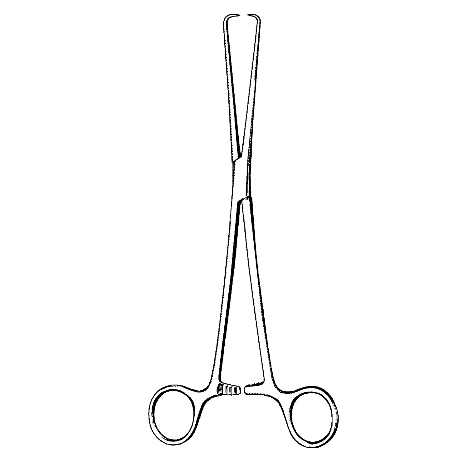 Schroeder- Pozzi Tenaculum Forceps, 1x1 Prongs, 10" (DROP SHIP ONLY)