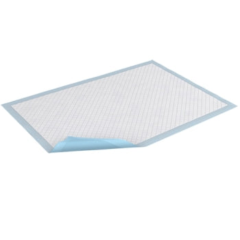 Underpad, Large, 30" x 30", Blue, 15/pk, 10 pk/cs (Continental US Only)