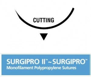 Suture, Taper Point, Size 6-0, Blue, 18", Needle CV-22, _ Circle, 3 dz/bx (Continental US Only)