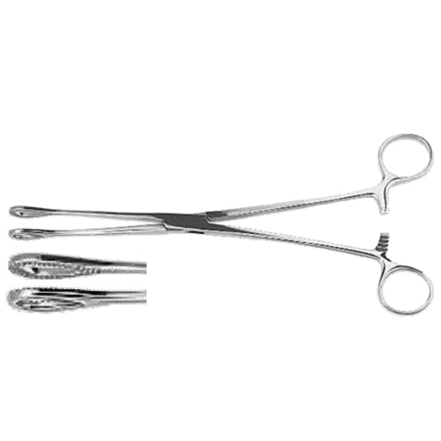 Sponge Forceps, Serrated Jaws, Straight, 9_"