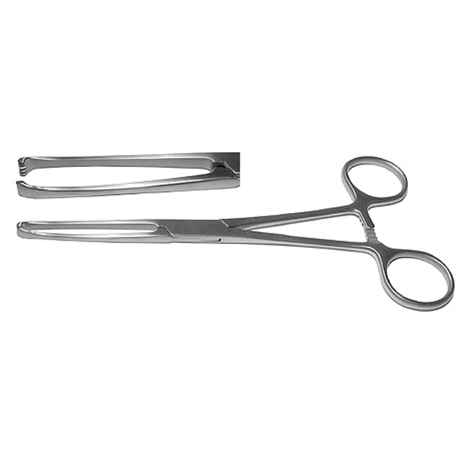 Tissue Forceps, Standard Pattern, 5x6 Teeth, 6"