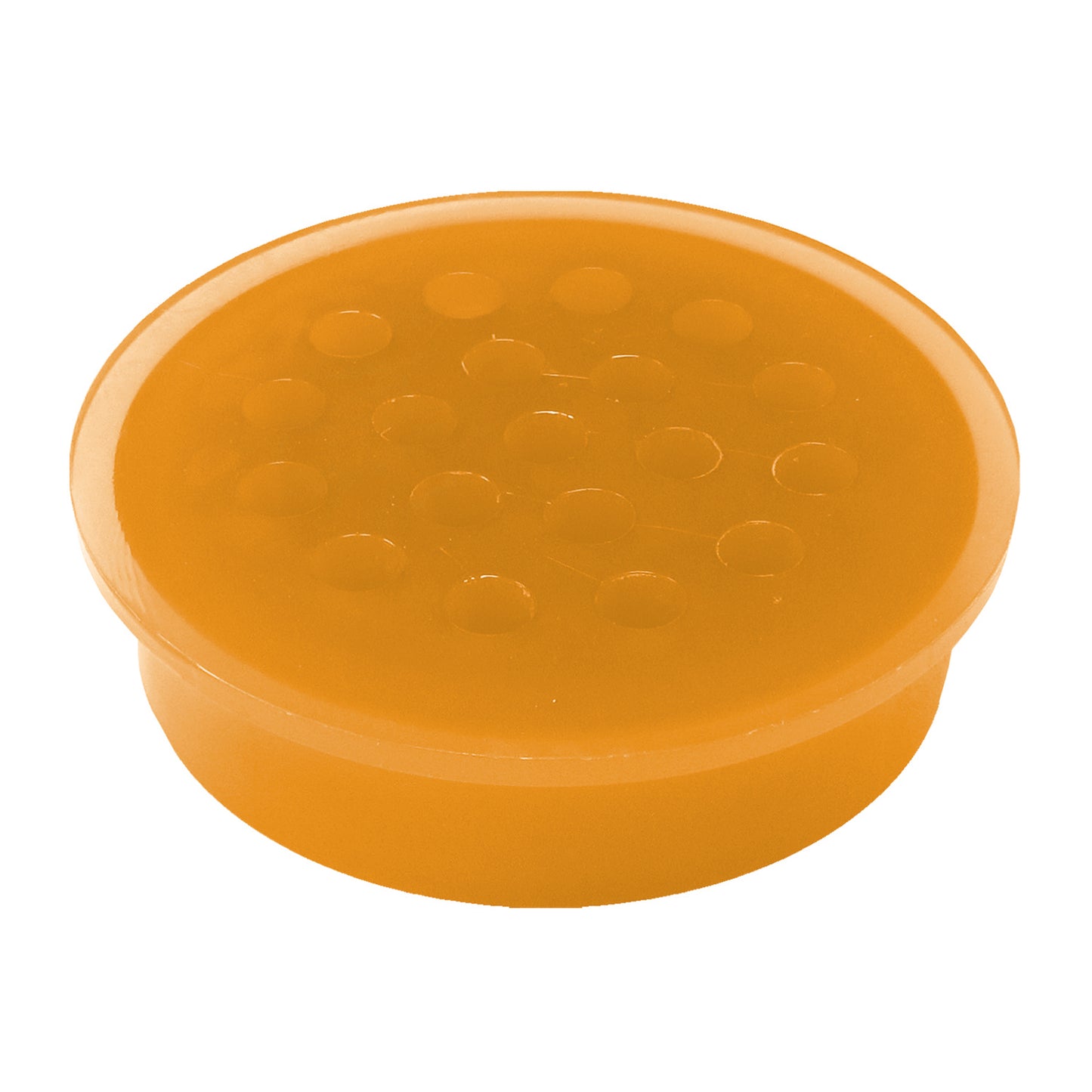 Solid Eva Disc, Citrus Grove, 12/bx