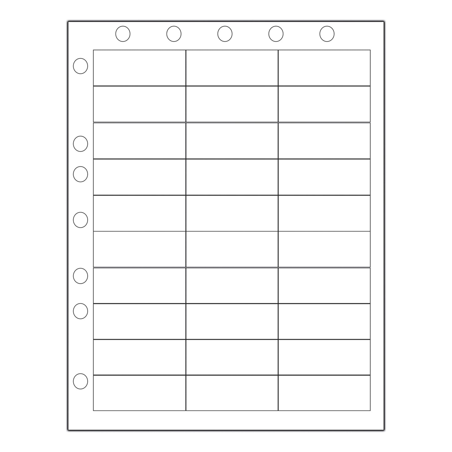 DataMate Labels, File Holes, Info Area: 2_" x 1", 30 labels/sheet, 1000/bx