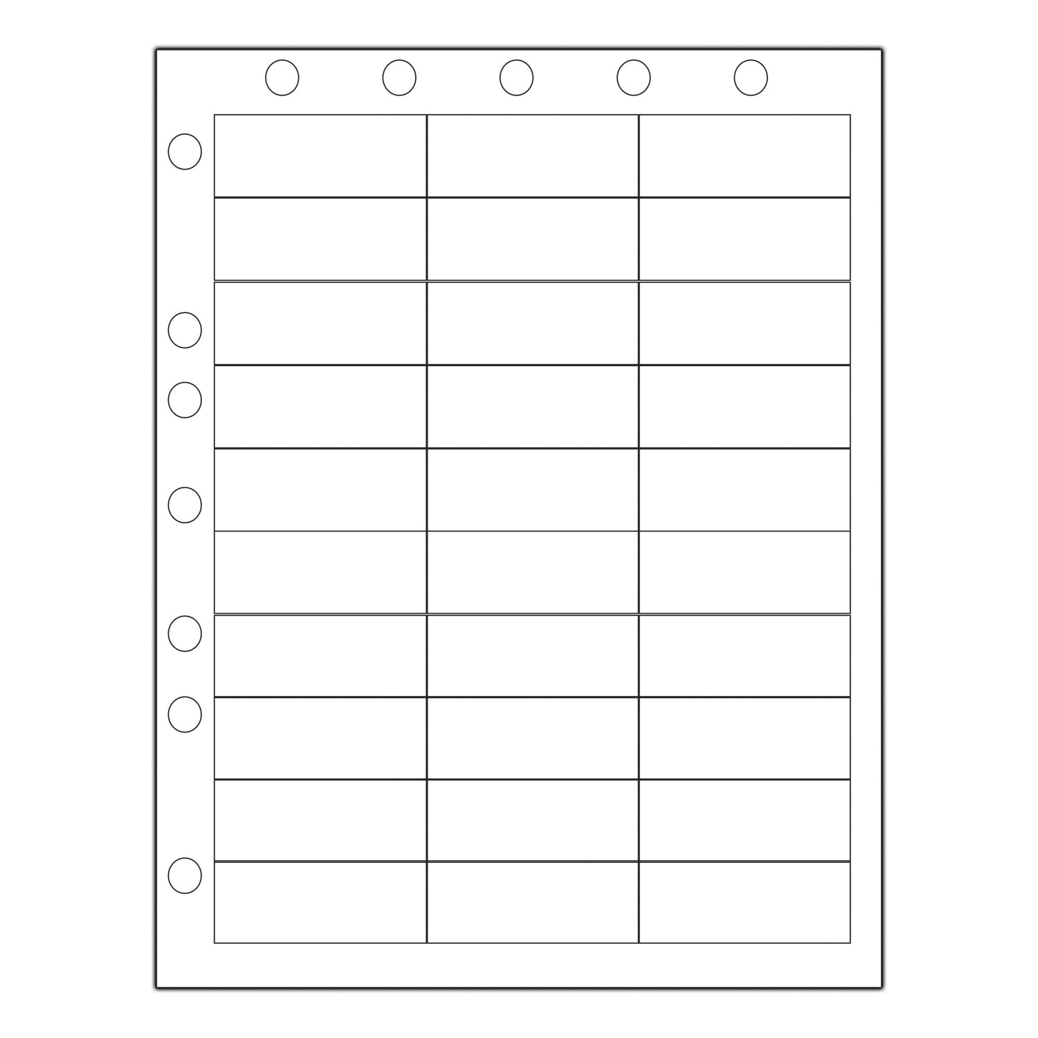 DataMate Labels, File Holes, Info Area: 2_" x 1", 30 labels/sheet, 1000/bx