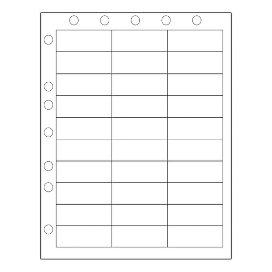 DataMate Labels, File Holes, Info Area: 2_" x 1", 30 labels/sheet, 1000/bx
