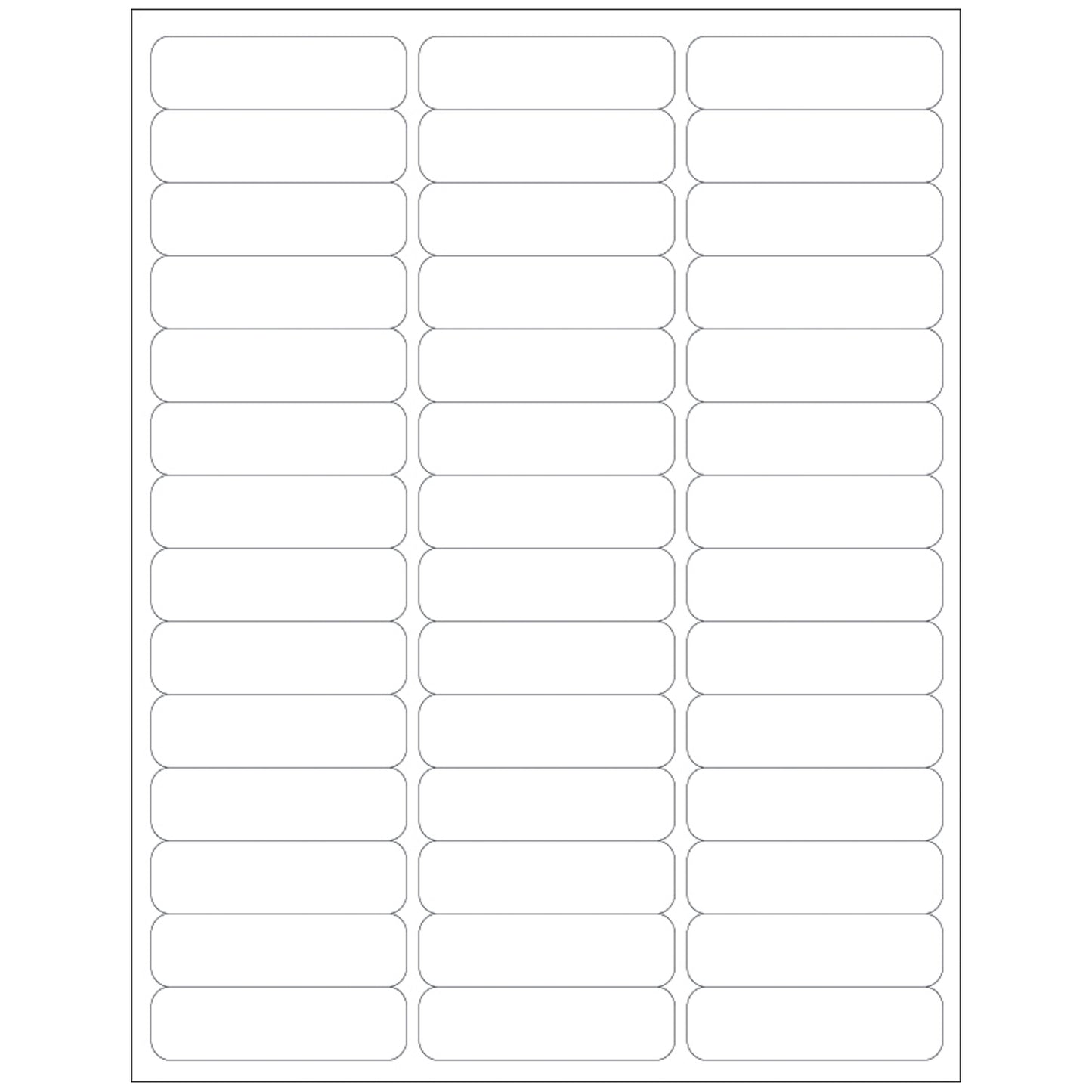 DataMate Labels, Info Area: 2 5/8" x _", 42 labels/sheet, 1000/bx