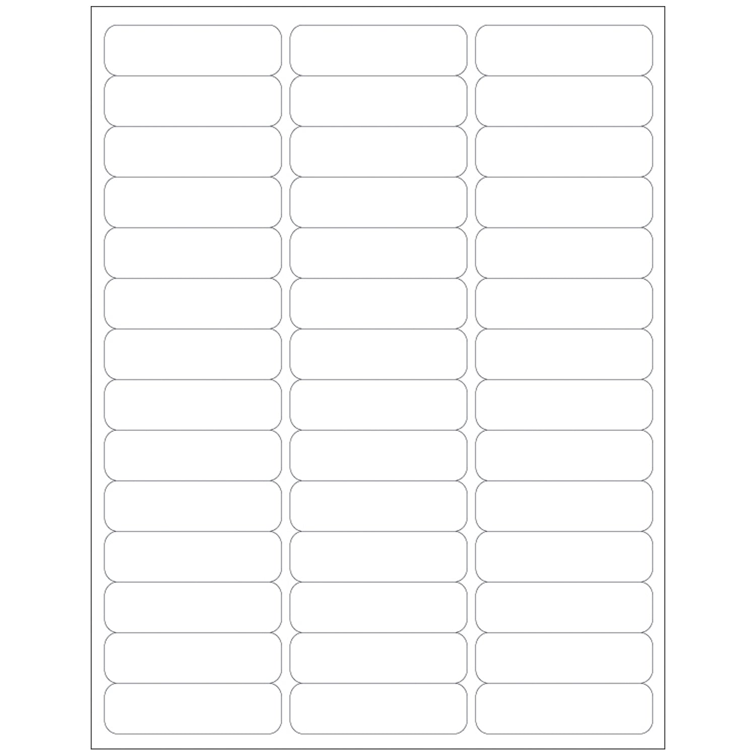DataMate Labels, Info Area: 2 5/8" x _", 42 labels/sheet, 1000/bx