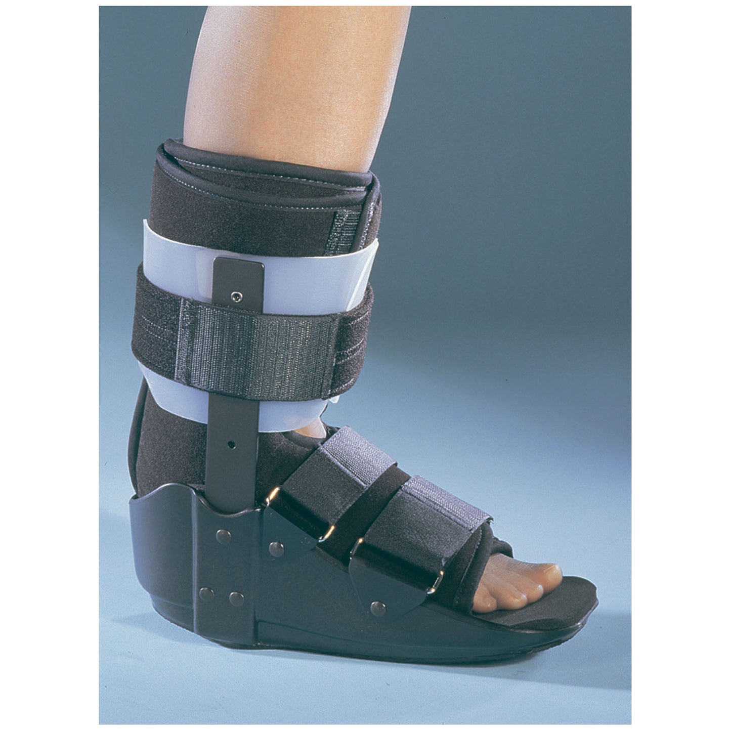 Accessories: Replacement Liner, Small