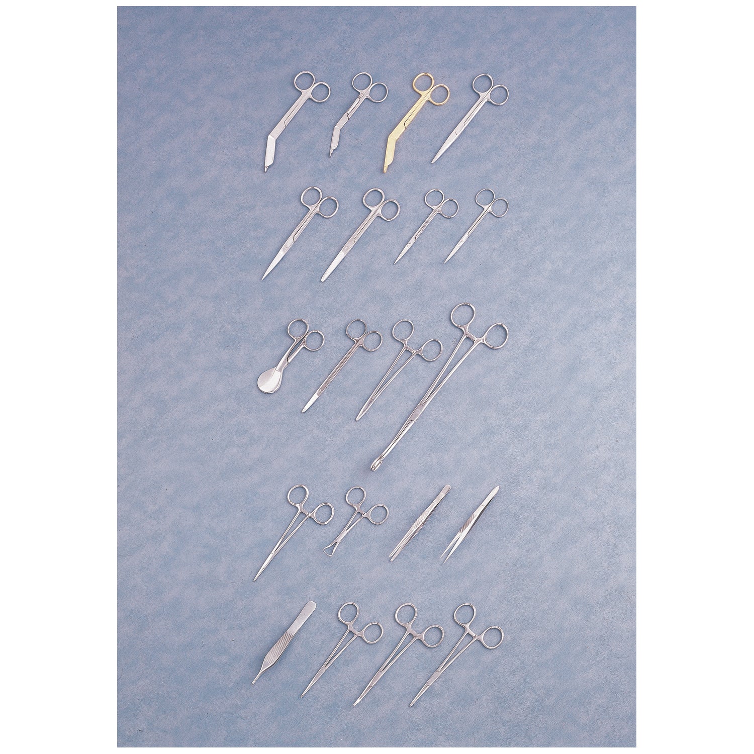Lister Bandage Scissors, 5_"