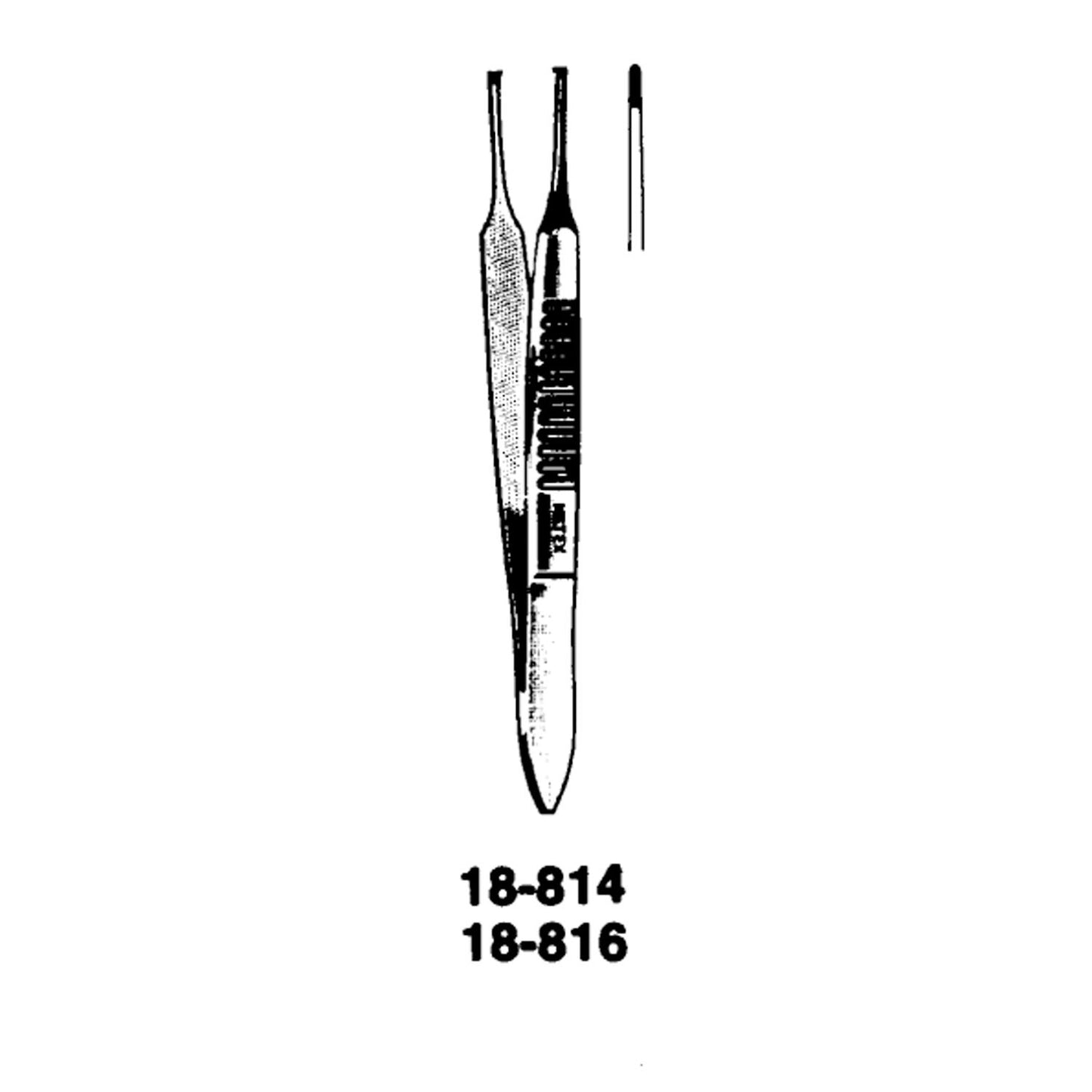 Graefe Forceps, 2_", Eye Dressing, Straight, Serrated