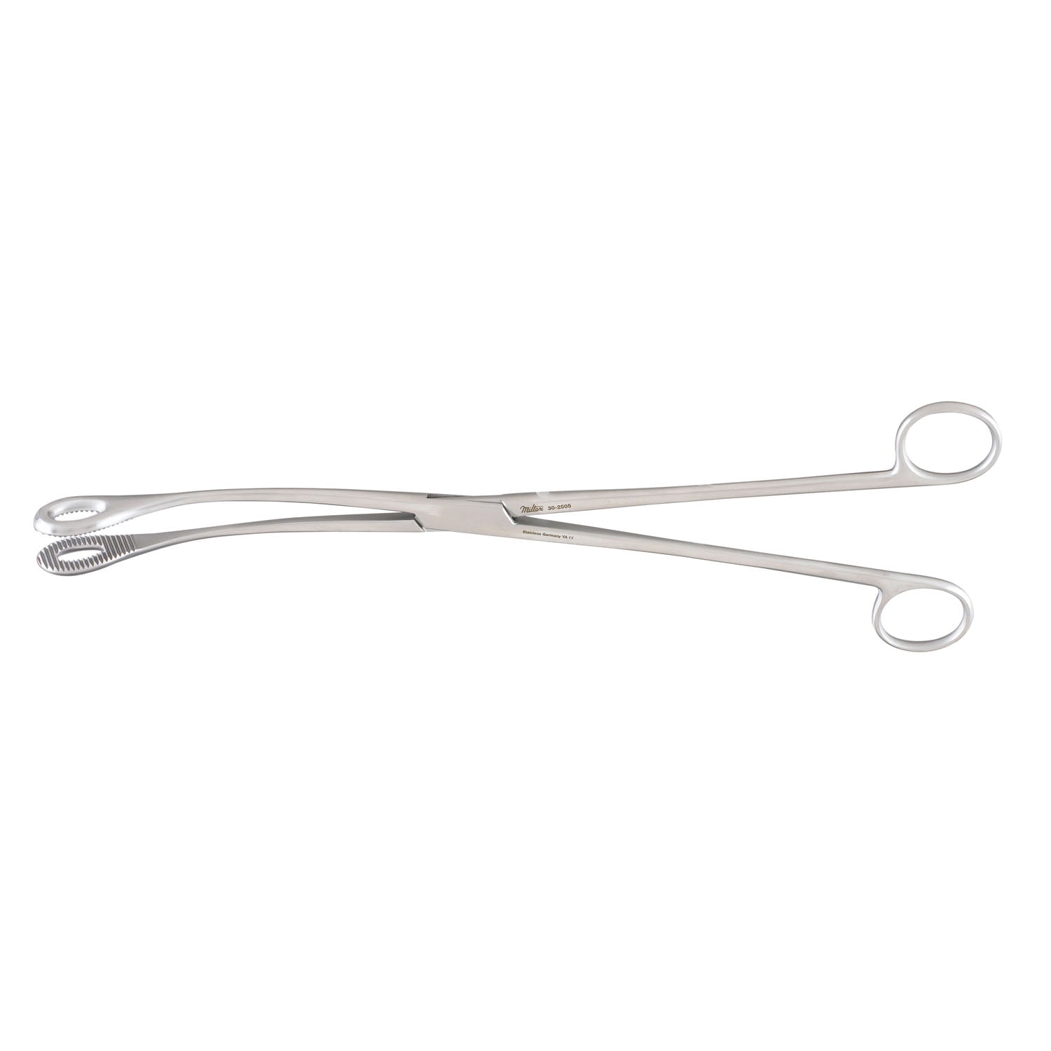 Kelly Sponge Forceps, 12_"