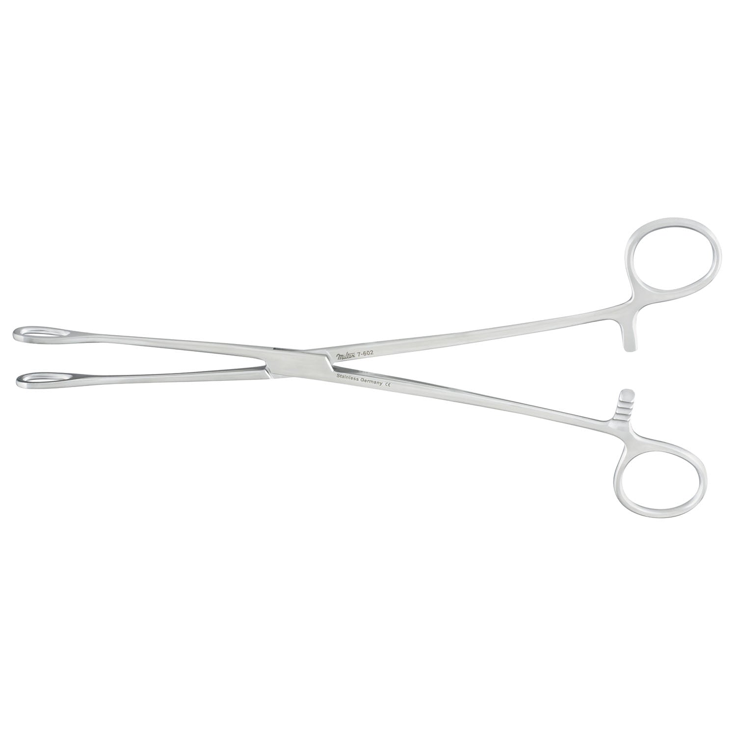 Sponge Forceps, 7", Smooth, Straight