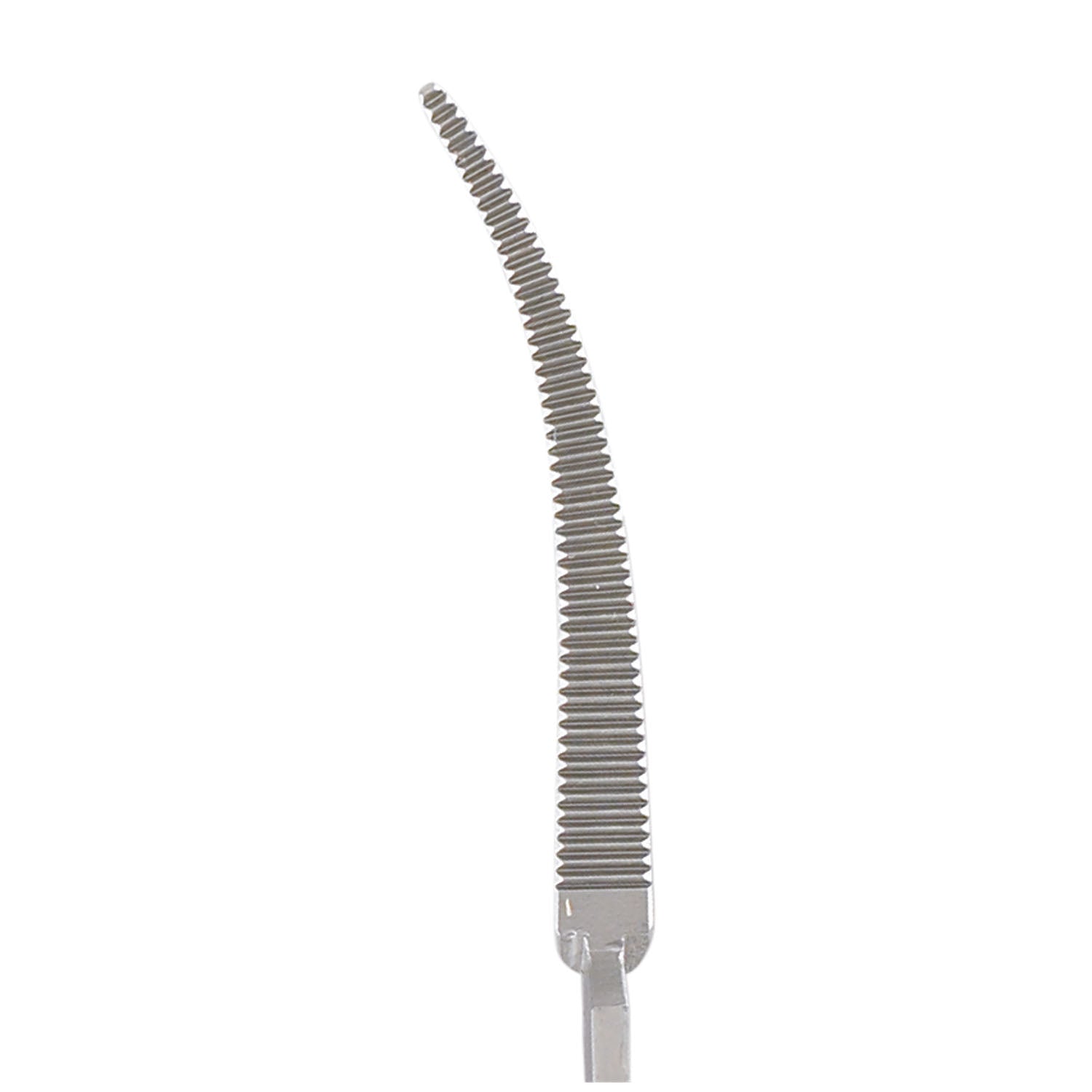 Coller Forceps, 6_", Curved