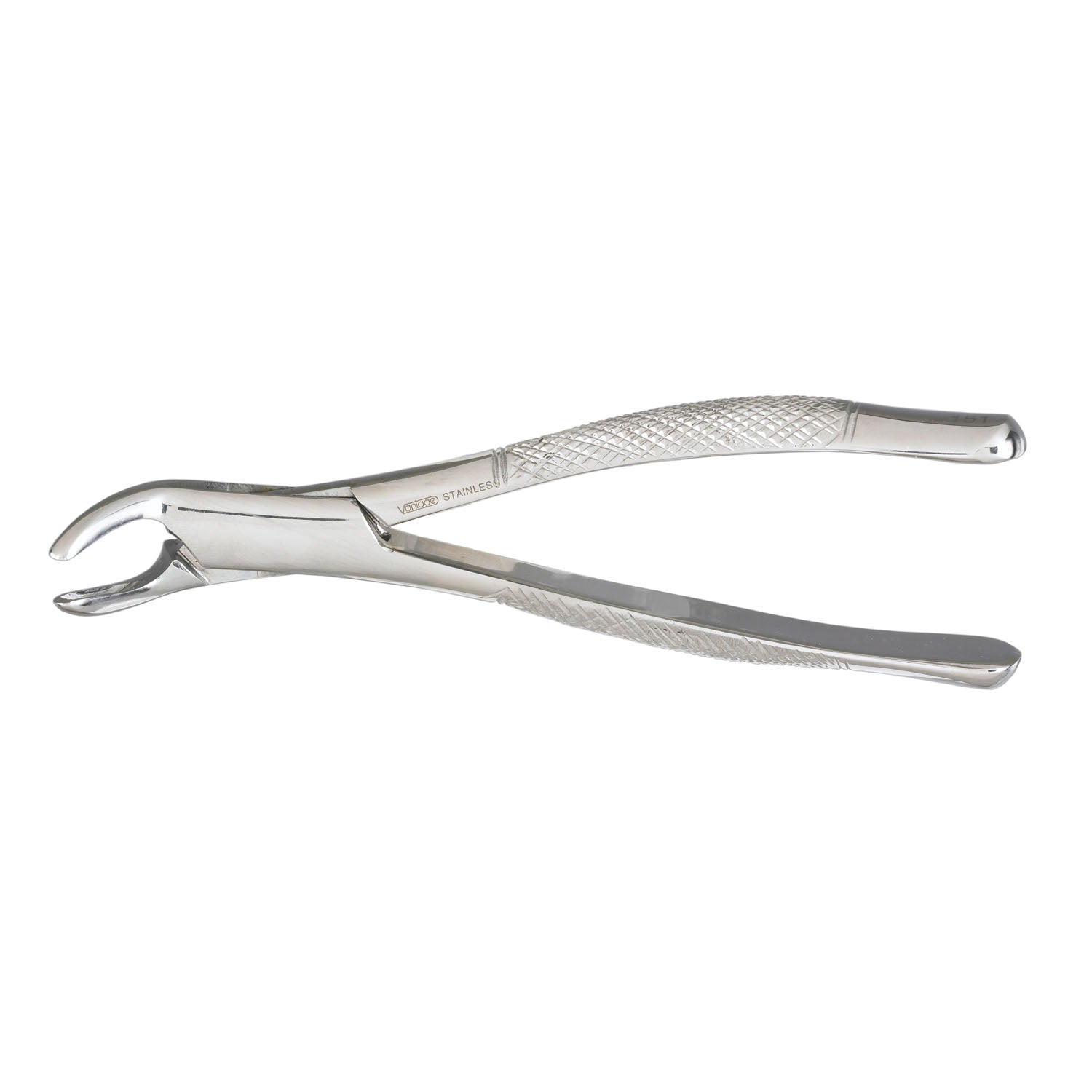 151 Extractor Forceps