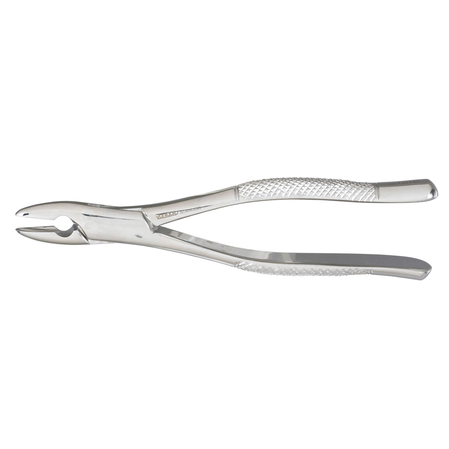 1STD Extractor Forceps