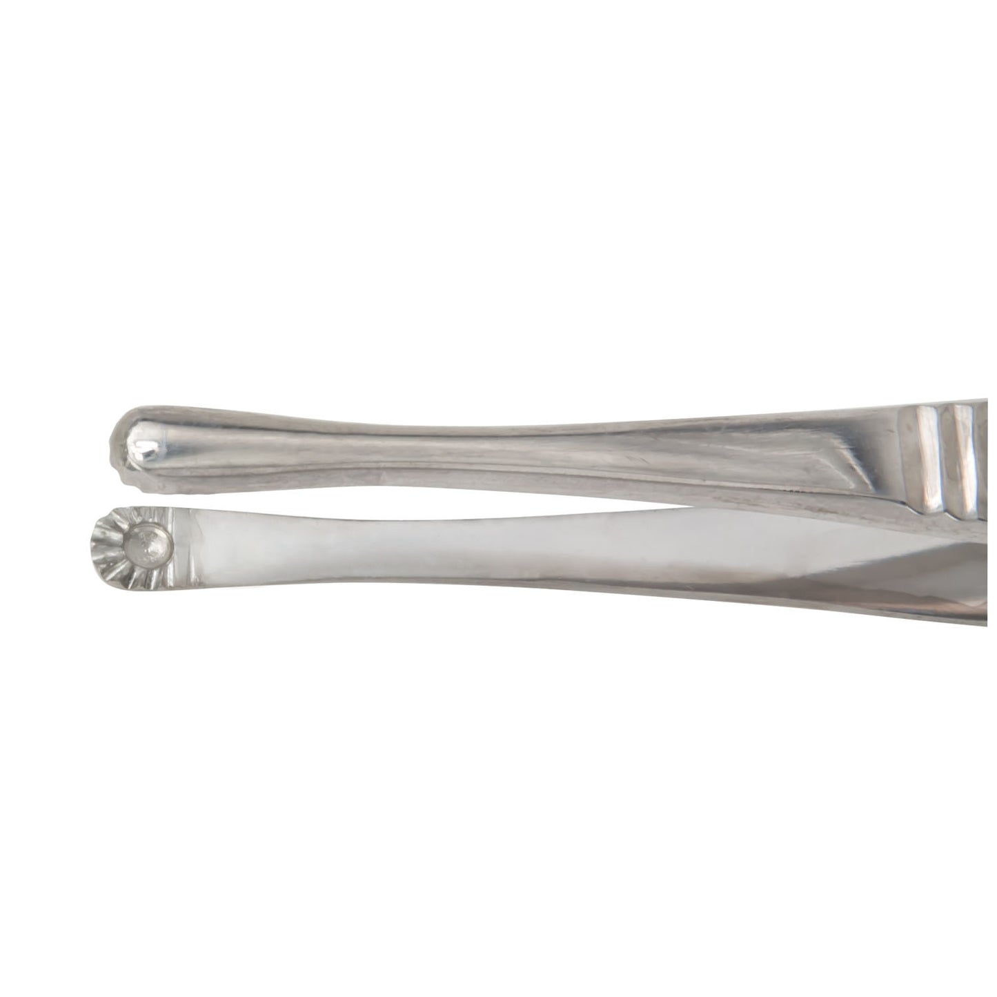 Tissue Forceps, 6"