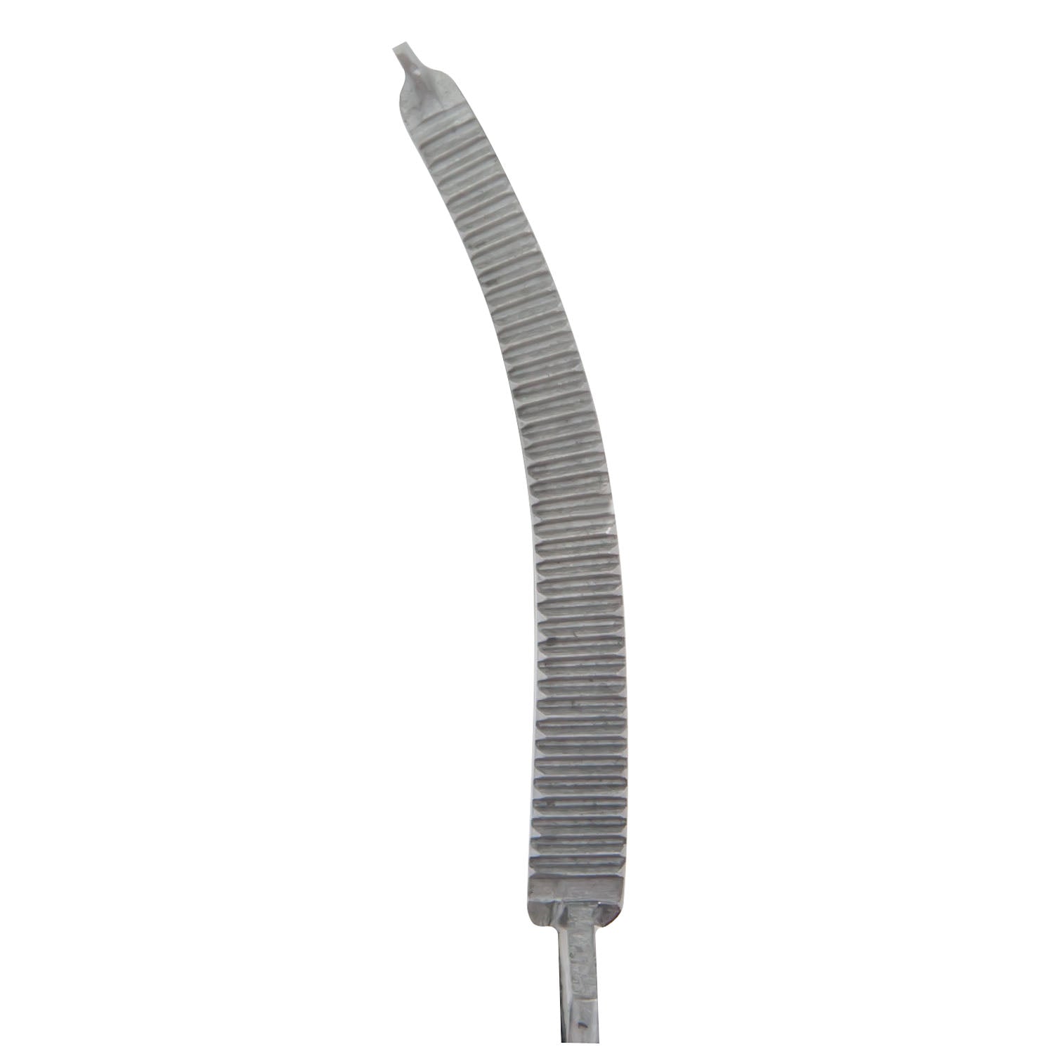 Rochester-Ochsner Forceps, 6_" Curved