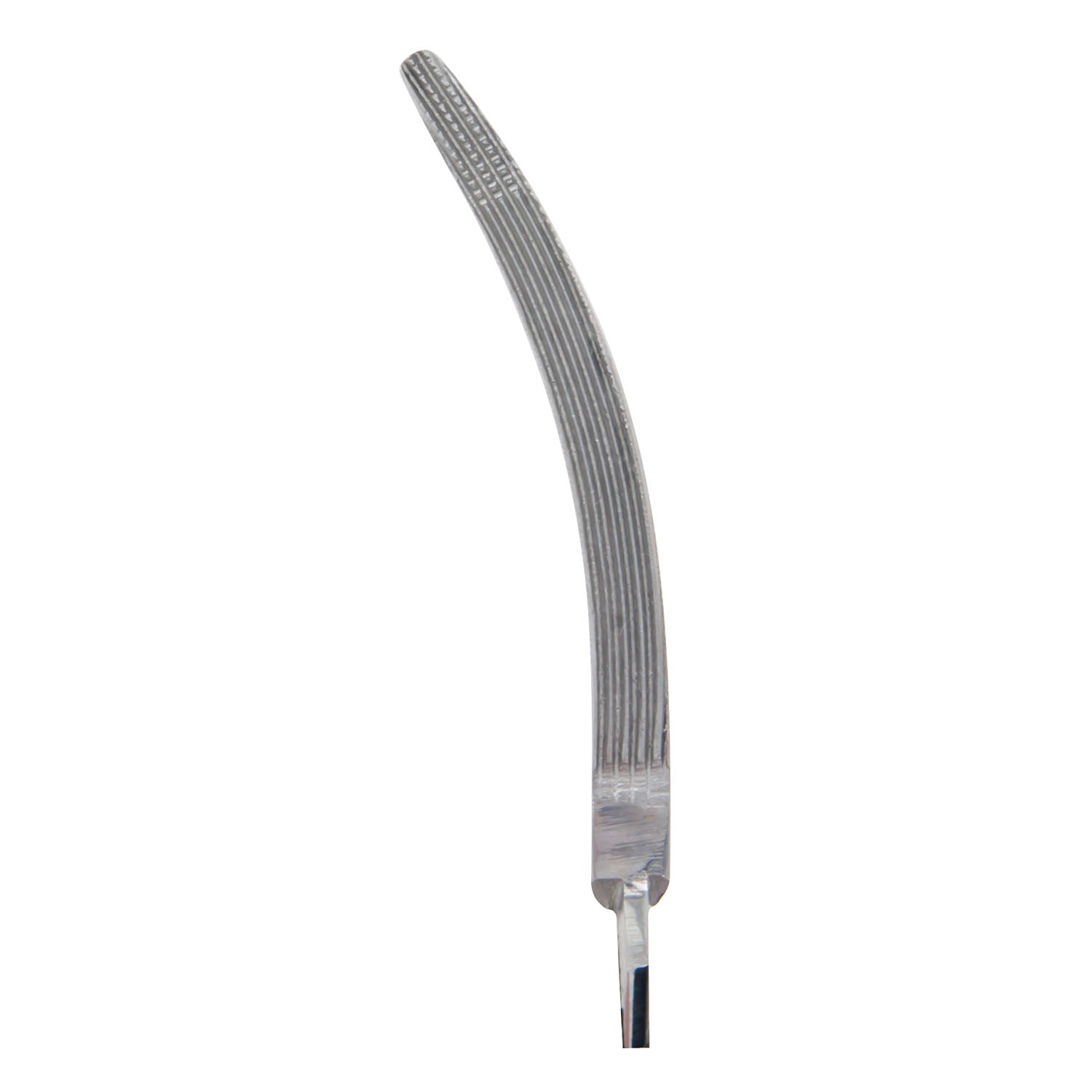 Rochester-Carmalt Forceps, 6_" Curved