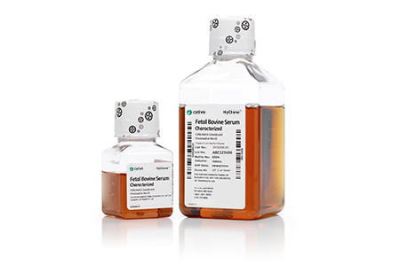 HyClone Characterized Fetal Bovine Serum (FBS), 500 mL (Ships on Dry Ice) (Item is Non-Returnable) (DROP SHIP ONLY)