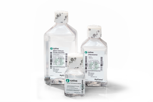 HyClone Dulbecco's Phosphate Buffered Saline, Liquid, 10X without Calcium, Magnesium, 500 mL (Item is Non-Returnable)