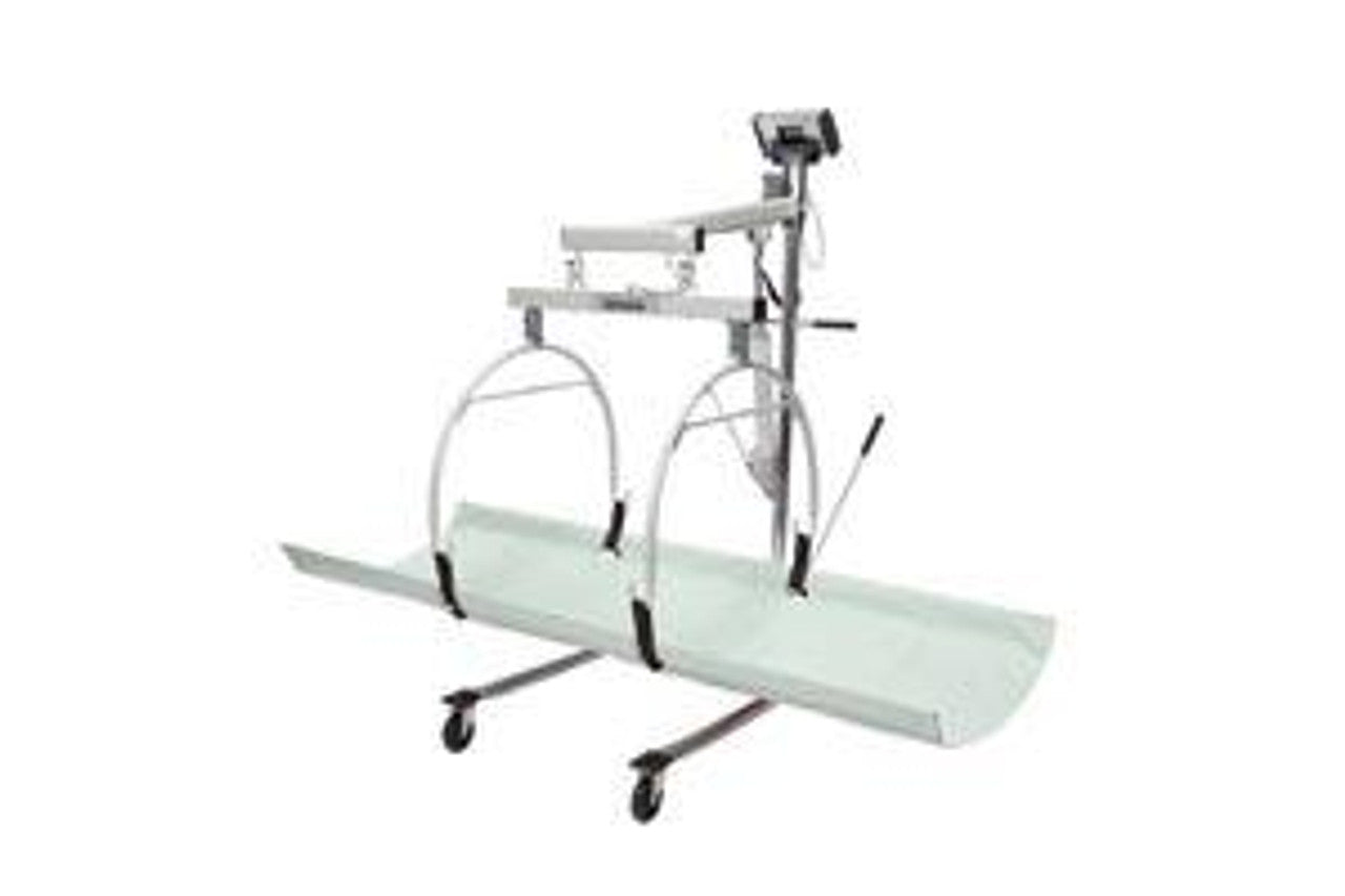 Digital In-Bed/ Stretcher Scale, Capacity with Built-in Pelstar Wireless Technology: 400 lbs/181 kg, Resolution: 0.2 lb/0.1kg, Stretcher Dimension: 70 1/2"W x 30"D, Connectivity via USB, 1 1/2" High-Contrast Color TFT-LCD Display, 120V Adapter (included) or (6) AA Batteries (not included) (DROP SHIP ONLY)