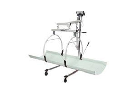 Digital In-Bed/ Stretcher Scale, Capacity: 181 kg, Resolution: 0.2 lb/0.1kg, Stretcher Dimension: 70 1/2"W x 30"D, Connectivity via USB, 1 1/2" High-Contrast Color TFT-LCD Display, 120V Adapter (included) or (6) AA Batteries (not included) (DROP SHIP ONLY)