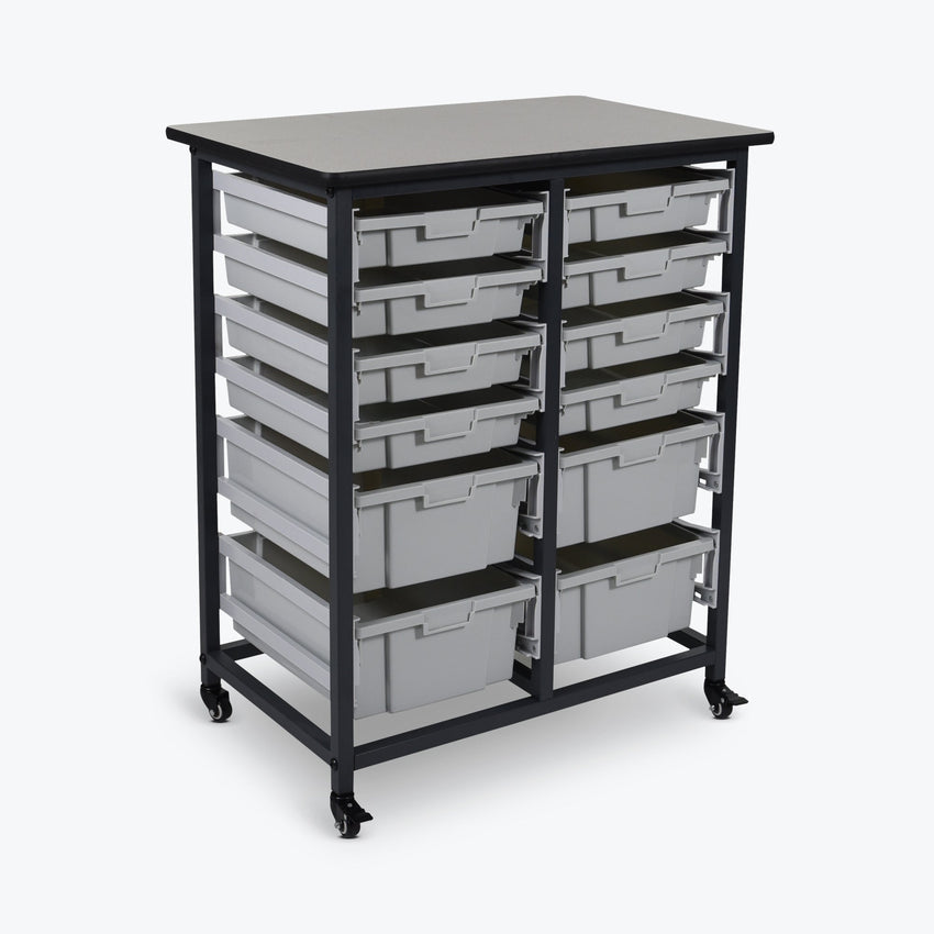 Storage Bin Unit, Mobile, Double Row, Holds 8-Small Bins and 4-Large Bins, 30.75"W x 20"D x 37.5"H, Steel Frame (DROP SHIP ONLY)