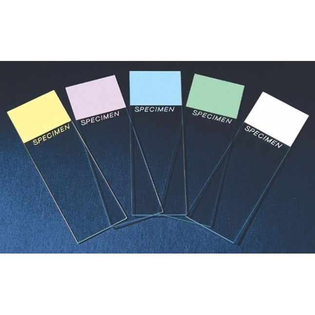 Colorfrost Plus Positive Charged Adhesion Microscope Slide, Frosted End, Yellow, 25mm x 75mm x 1mm, 144/gr, 10 gr/cs (Made To Order; Non-Returnable) (Continental US Only)