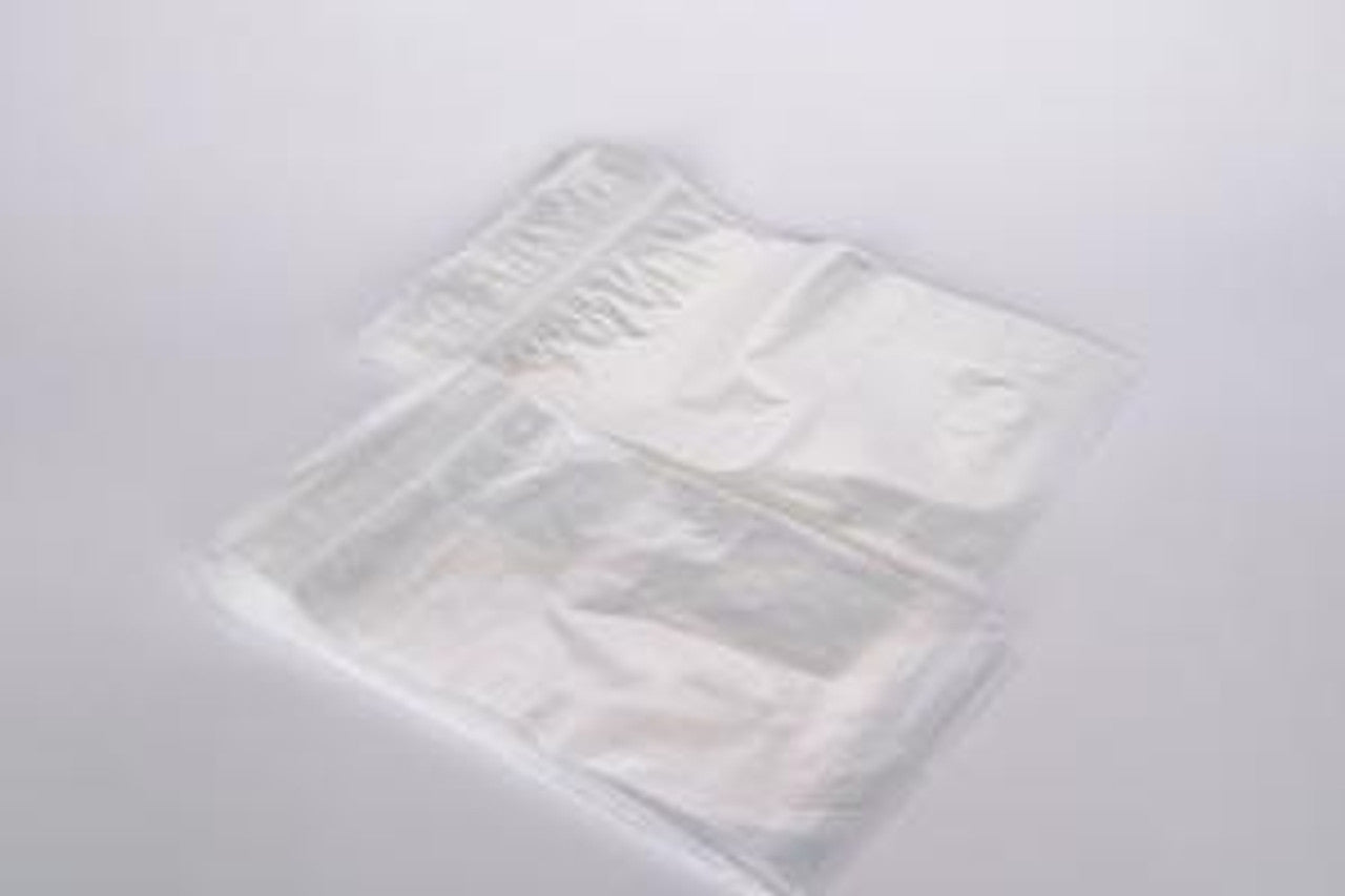 Bag, 12" x 15", Print Label No Print, 4 Mil, Clear/ No Print, 100/bx, 10 bx/cs