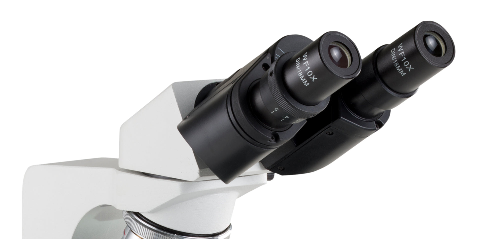 Accessories: Seidentopf Binocular for M250 and M250LED Series (US Only) (DROP SHIP ONLY)