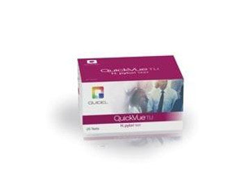 Bifocal Safety Glasses, Grey Frame/Clear Lens. +2.5 Diopter, 12/cs (US SALES ONLY)