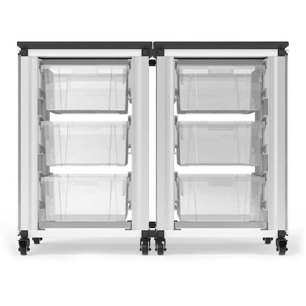 Storage Bin Cabinet, 2 Side-by-Side Modules, Holds 6 large bins (3" or 6" Deep), Overall dimensions (single module): 41 x 38 x 24 (DROP SHIP ONLY)